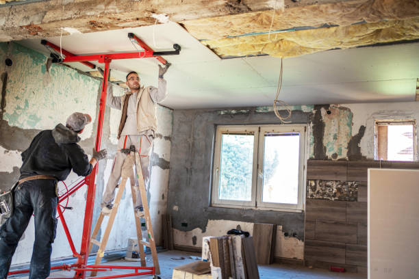 Best Eco-Friendly Insulation in Spirit Lake, ID